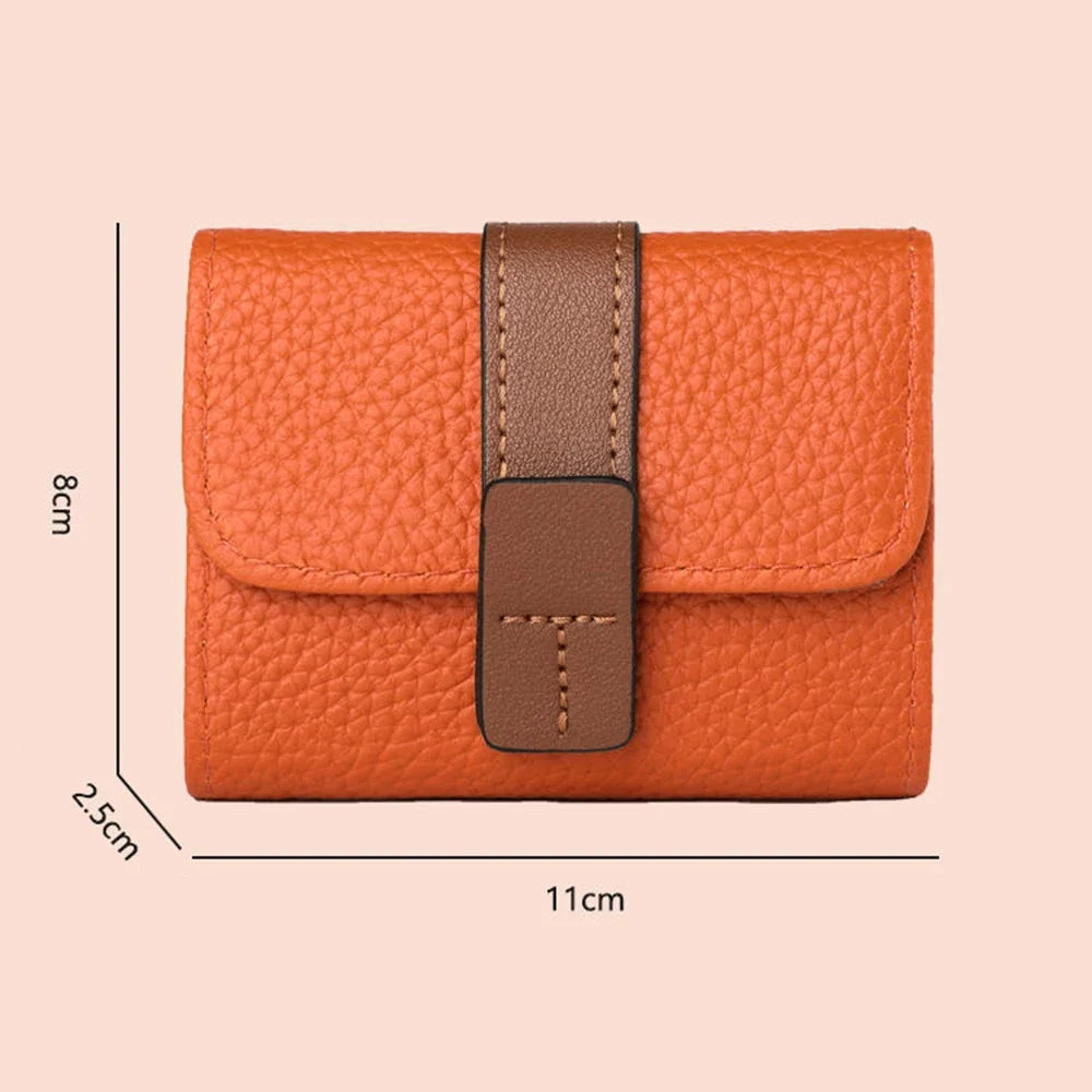 Accordion Card Holder in Faux Leather with Multiple Compartments and Snap Closure
